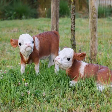 In By The דירה *